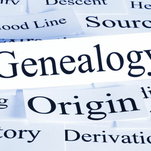 Explore your roots – Genealogy