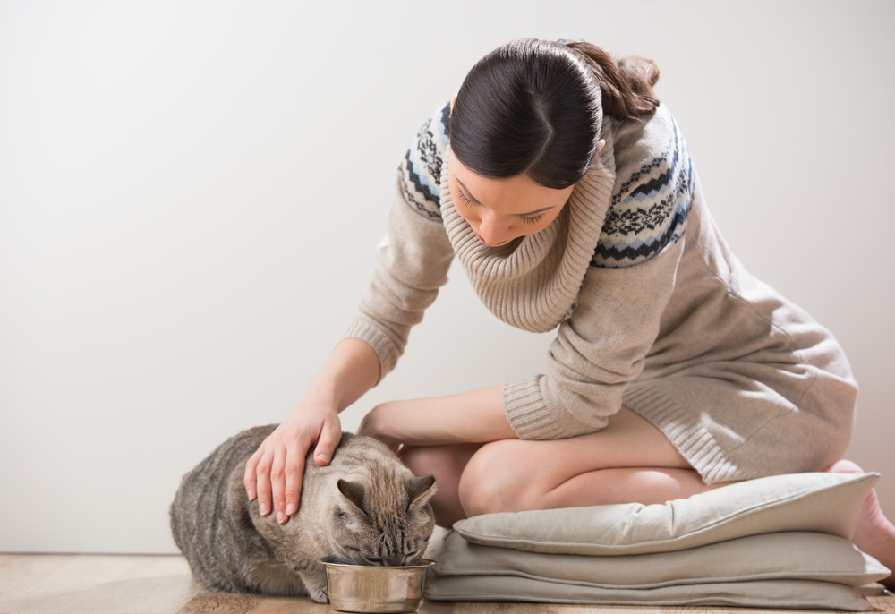 Here’s What You Should Avoid Adding to the Cat Food