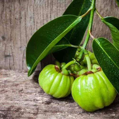 Garcinia – Its Proposed Benefits and Side Effects