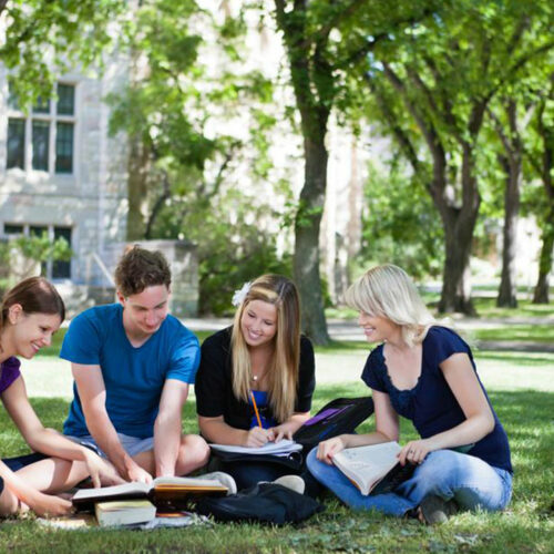 Popular online degrees that you can study from accredited colleges