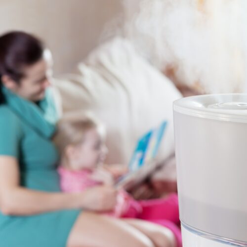 Black Friday 2024 Air Purifier Deals: Clean Air at Unbeatable Prices